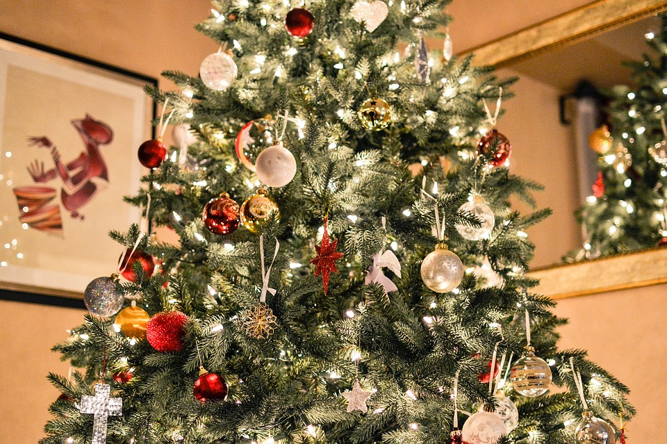 christmas-tree-1081981_960_720